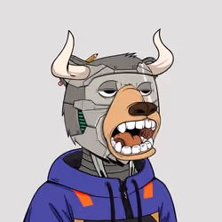 Bull Bears #71