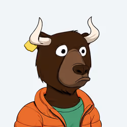 Bull Bears #1142