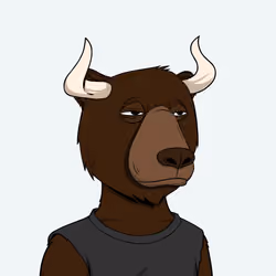 Bull Bears #1162