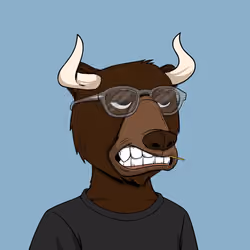 Bull Bears #722