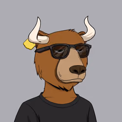 Bull Bears #2110