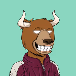 Bull Bears #1636