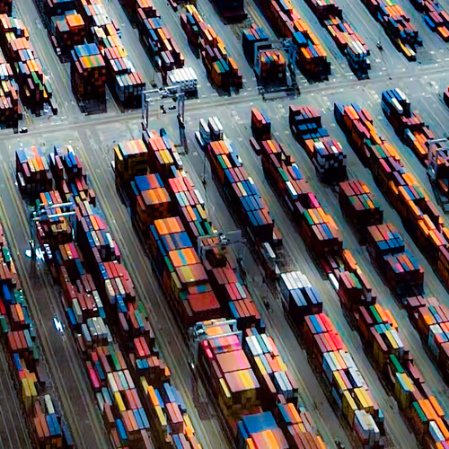 Savannah Symmetry 