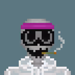 Pocket Bones 764