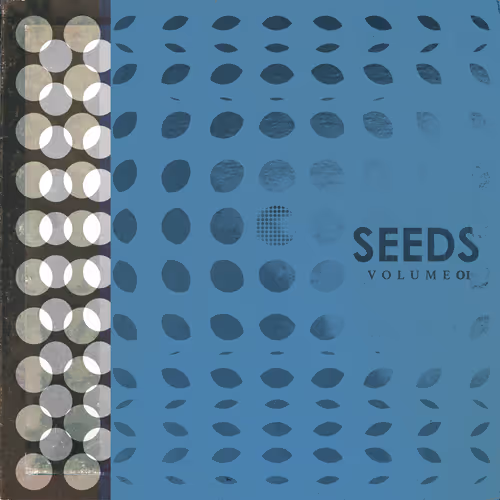 Dav Seeds
