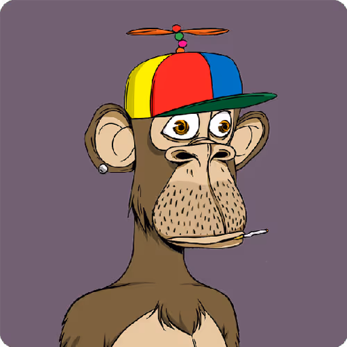 Btc Ordinals Curated
