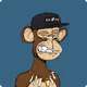 Bitcoin Ape #6341