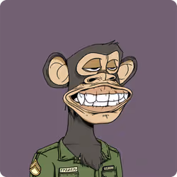 Bitcoin Ape #381