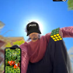 24