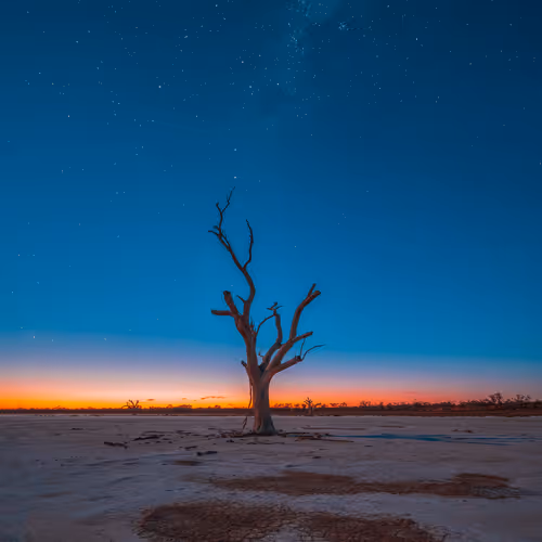 Nautical Twilight Trees V2