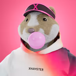 xHamster #593
