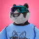 xHamster #9986