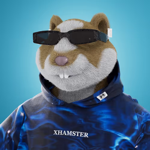 xHamster #902