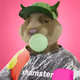 2329