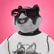 xHamster #1490