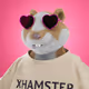 xHamster #507