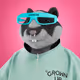 xHamster #8494