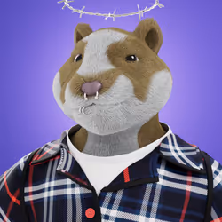 5048