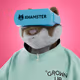 xHamster #1097