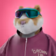 xHamster #1903