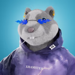 xHamster #630