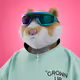 xHamster #8015