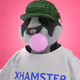 xHamster #9977
