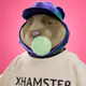 xHamster #9723