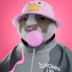 xHamster #2359