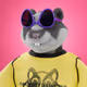 xHamster #8459
