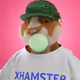 xHamster #528