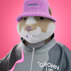 xHamster #913