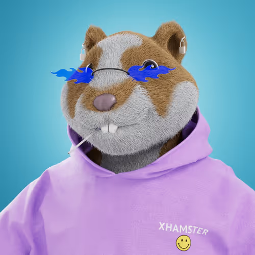 Xhamsternft