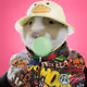 xHamster #909