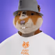 2081