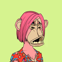 #6262