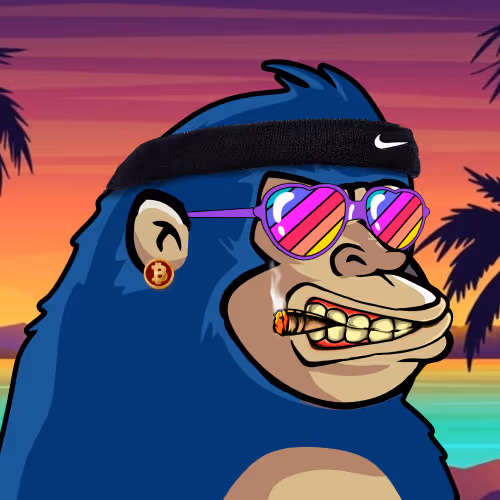 Chimp # 256