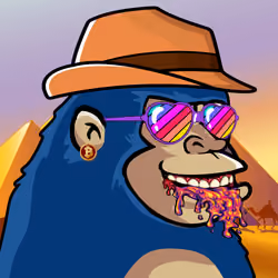 Chimp # 78