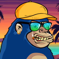 Chimp # 313