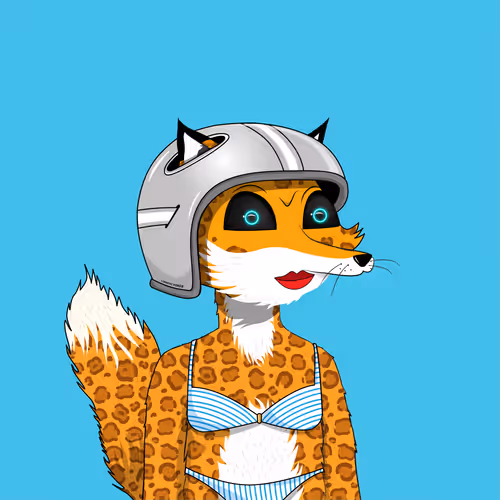 Kinky Foxes #2436