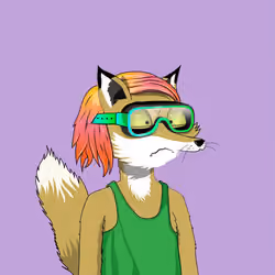 Kinky Foxes #960