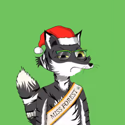 Kinky Foxes #495