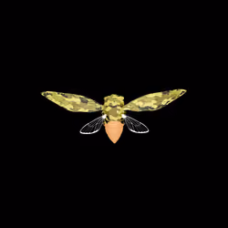Cicadas #8646