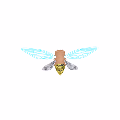 Cicadaspuzzleclub