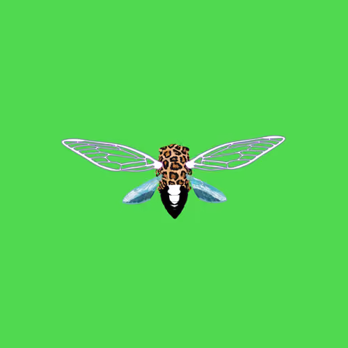 Cicadas #128