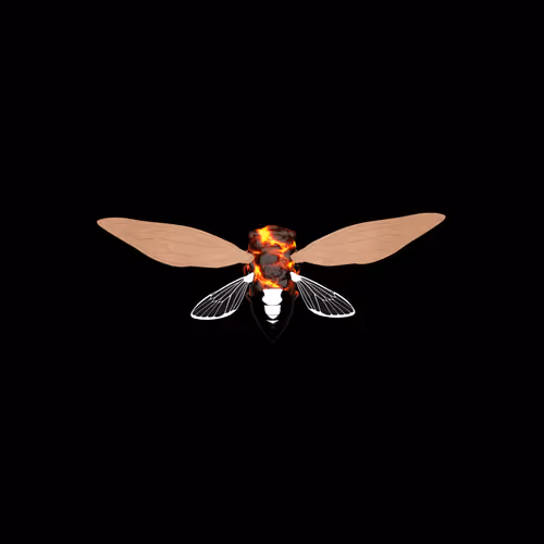 Cicadas #9558