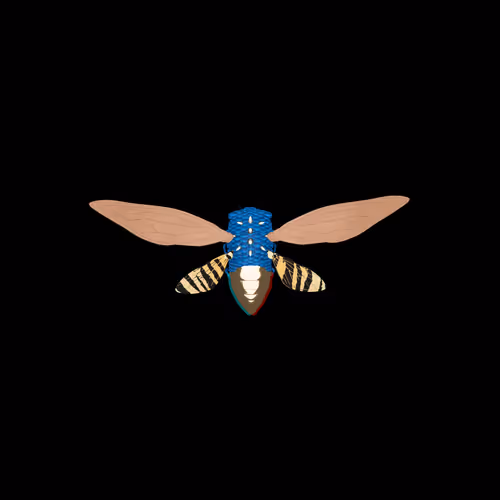 Cicadaspuzzleclub