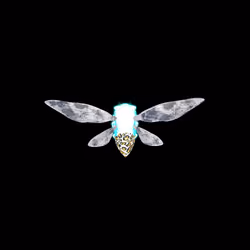 Cicadas #902