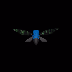 Cicadas #9041