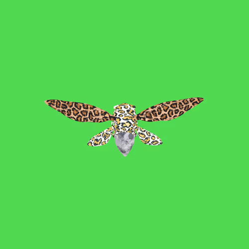 Cicadaspuzzleclub